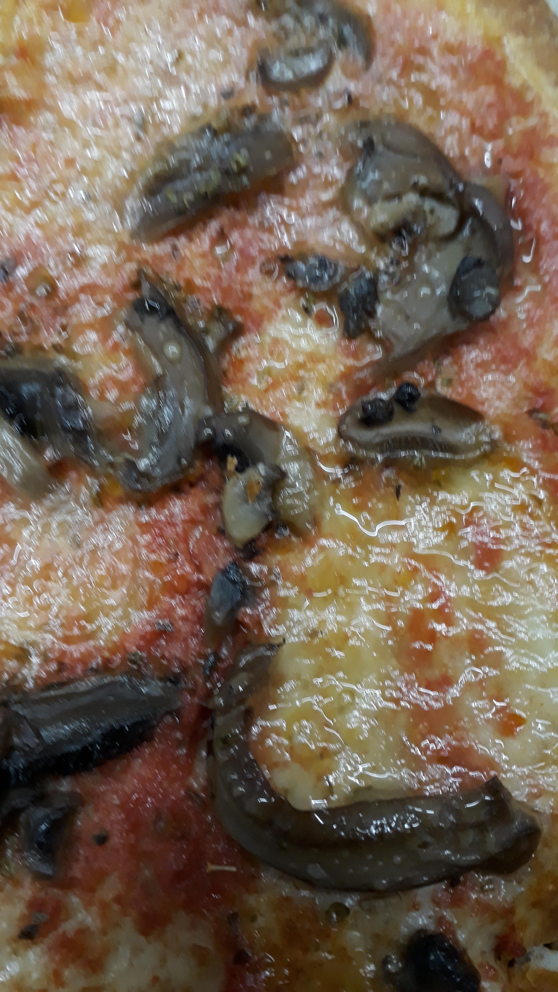 Pizza al taglio
