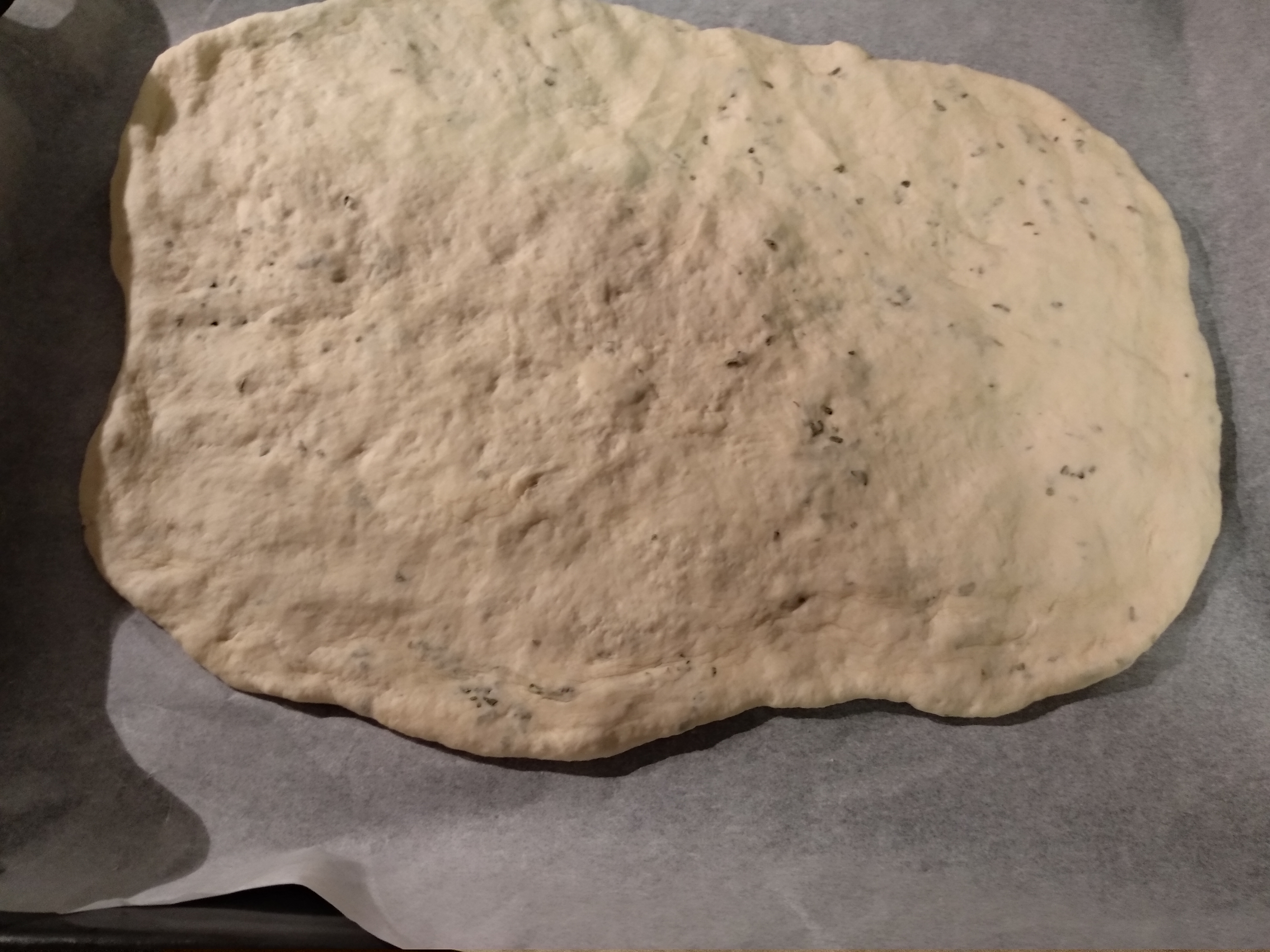 Base pizza con orégano