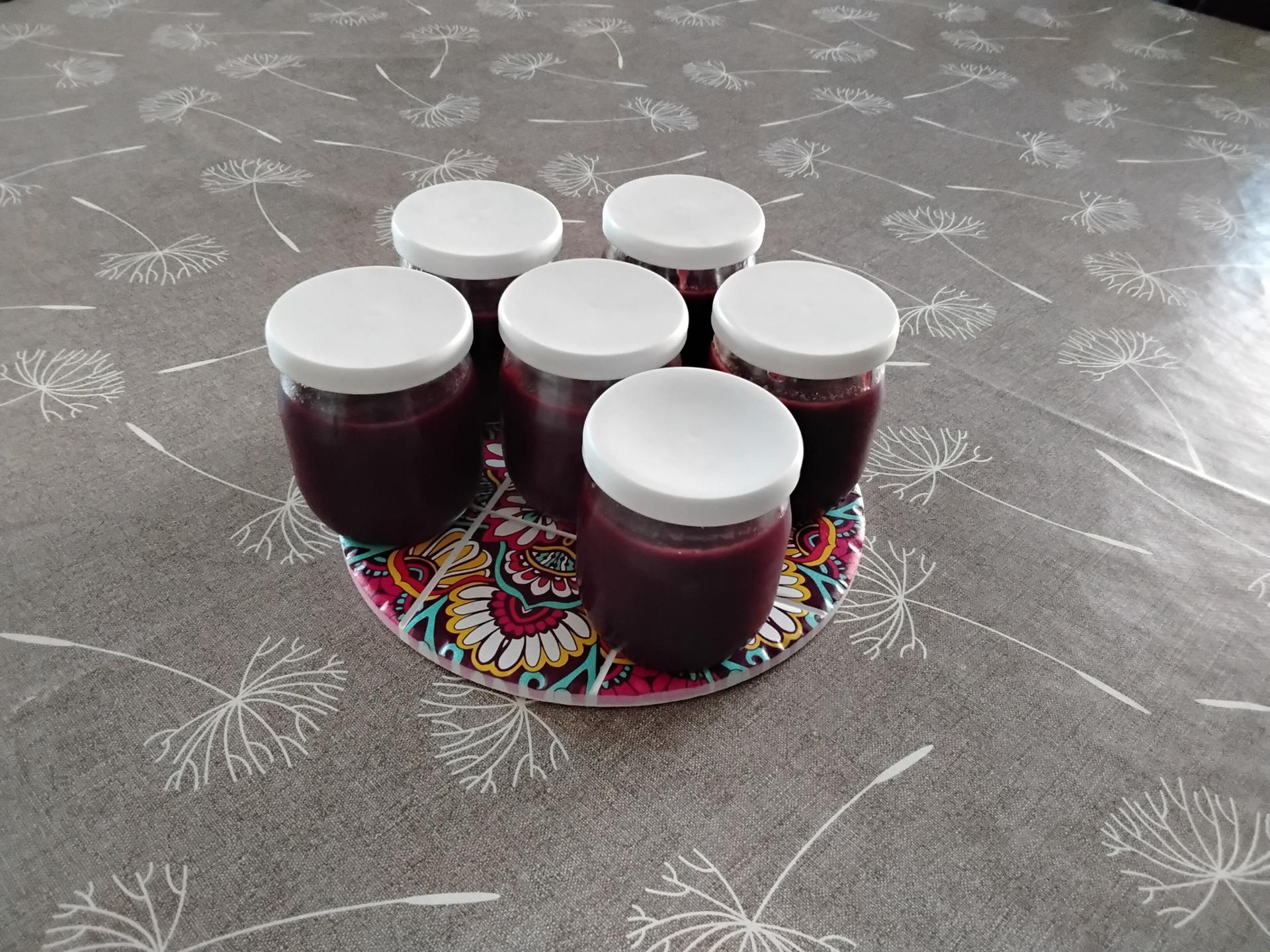 Compote lisse de pommes et myrtilles 🍎🫐 - Recette Companion Connect XL ...