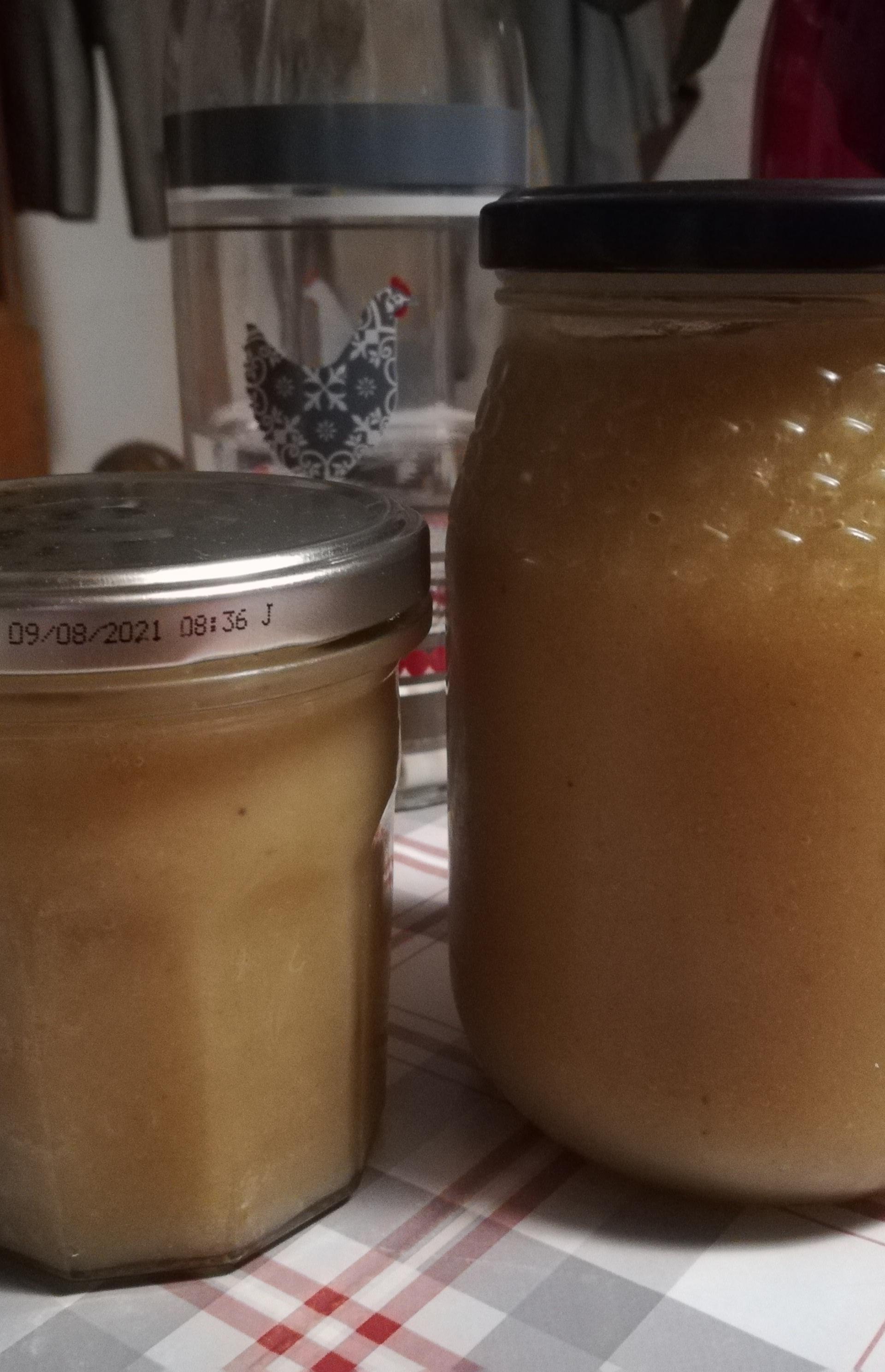 Compote pommes bananes Recette Cookeo Moulinex