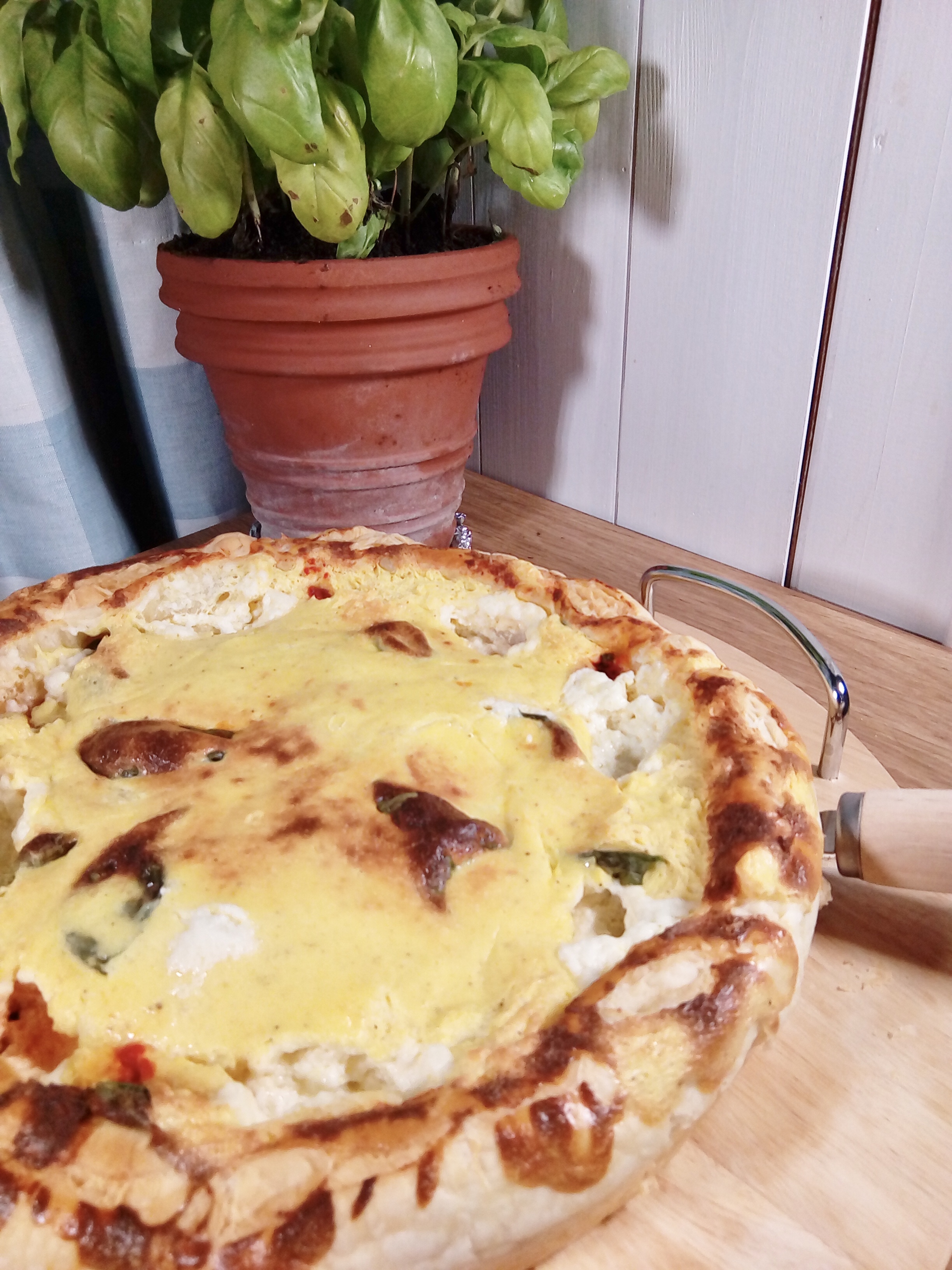 Sfogliata di caprino, pomodorini secchi e basilico