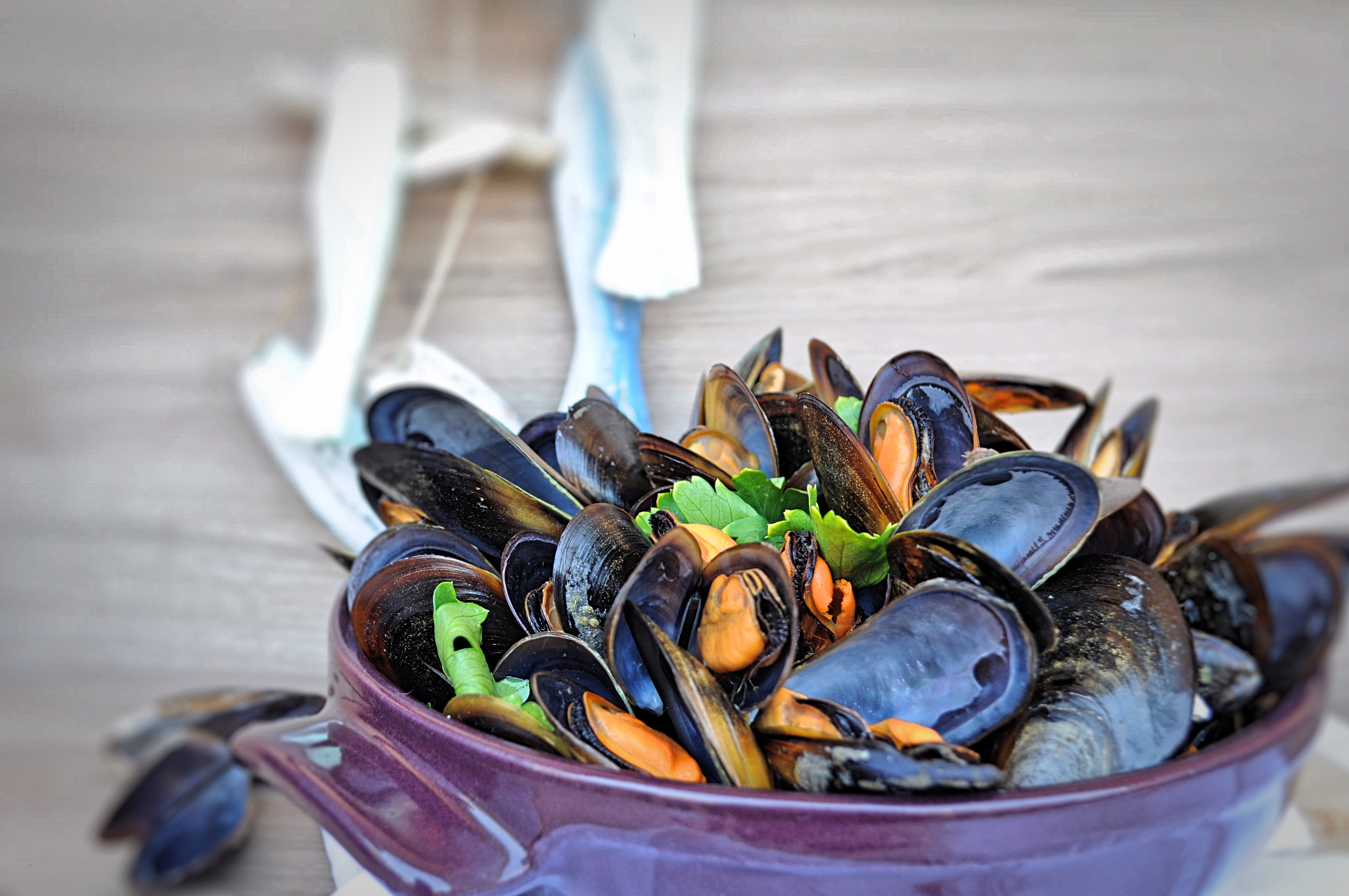 Cozze alla marinara