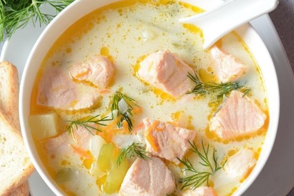 Estofado nórdico de salmón y puerro
