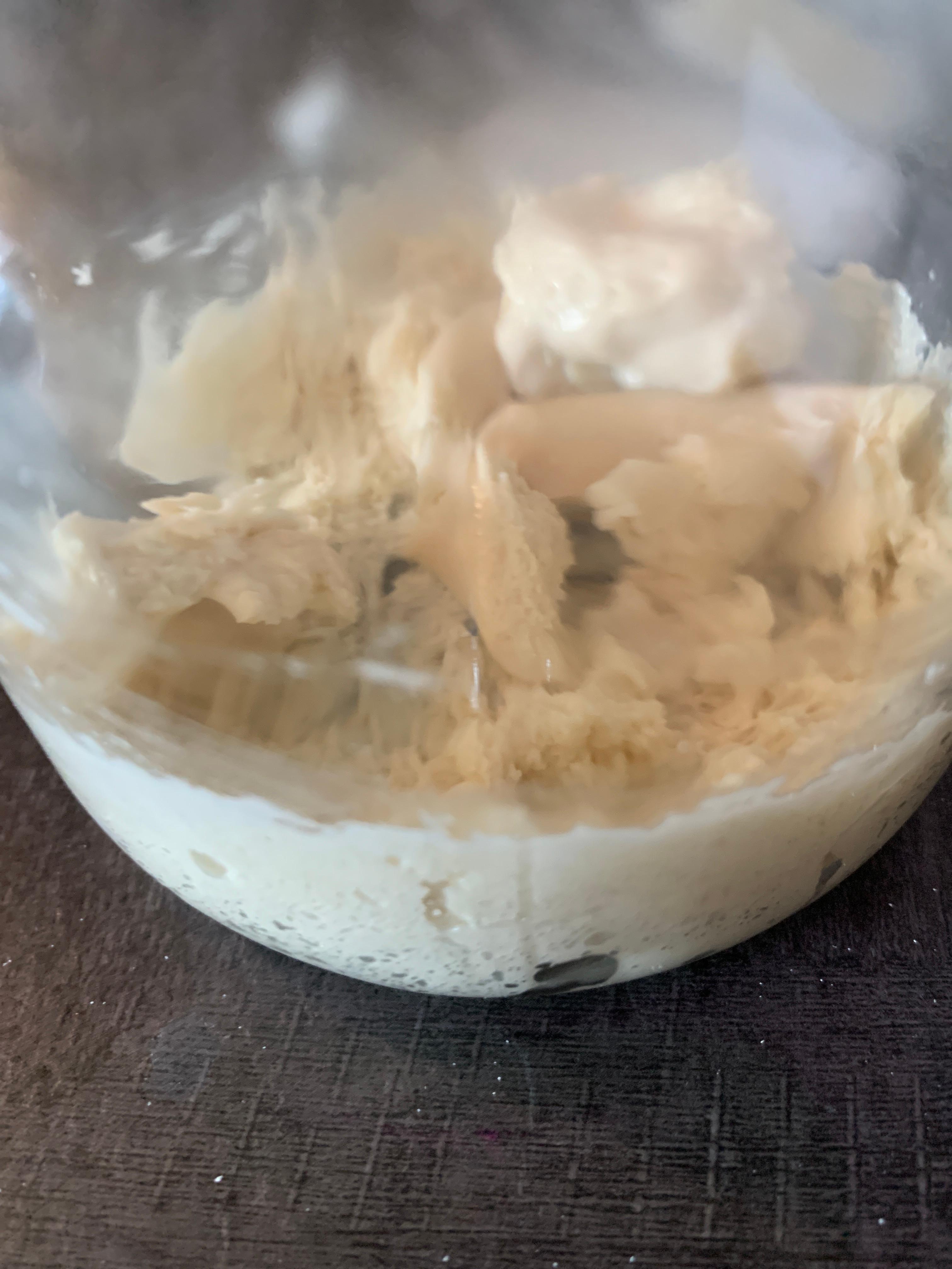 Rinfresco Lievito Madre