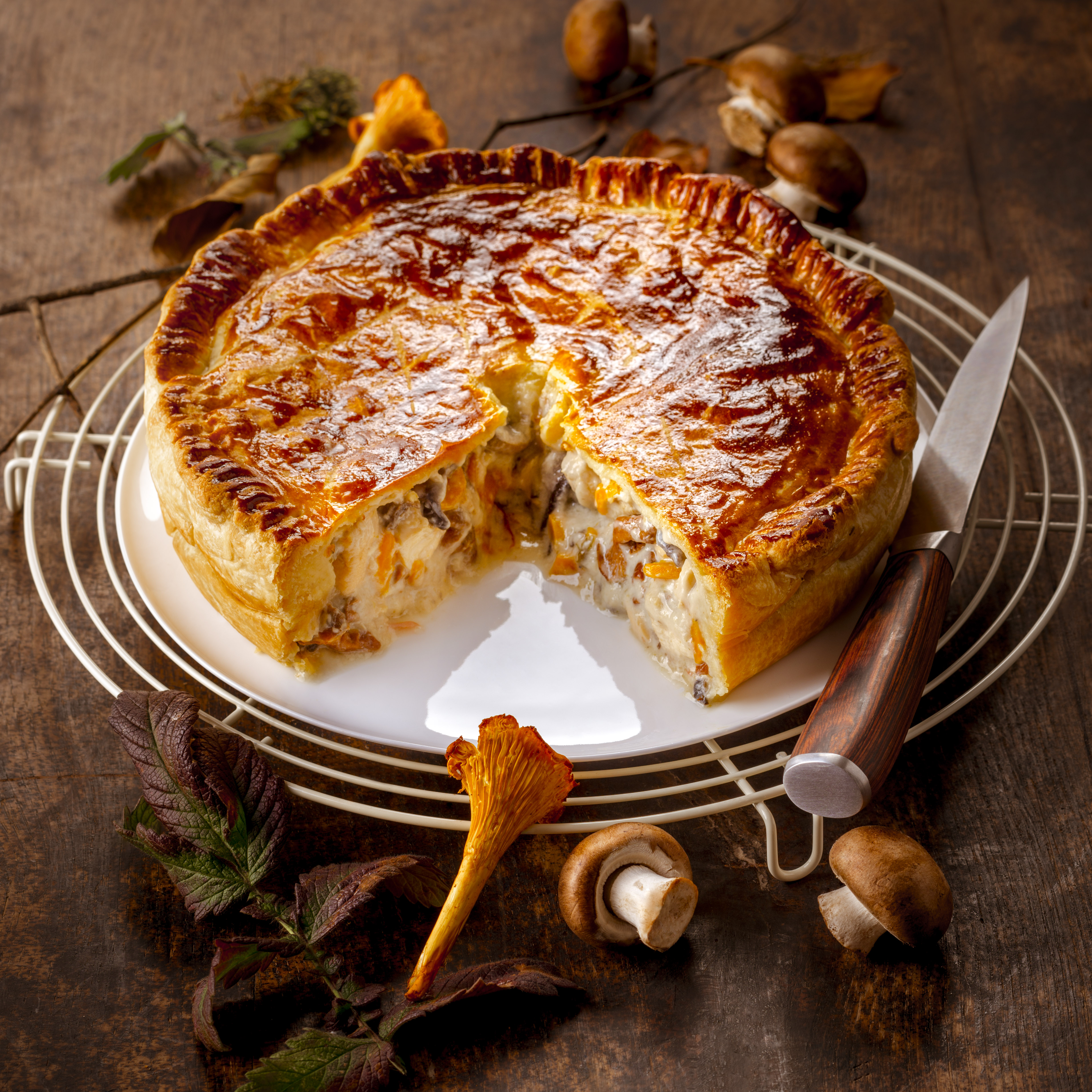 Pastel de champiñones y pollo