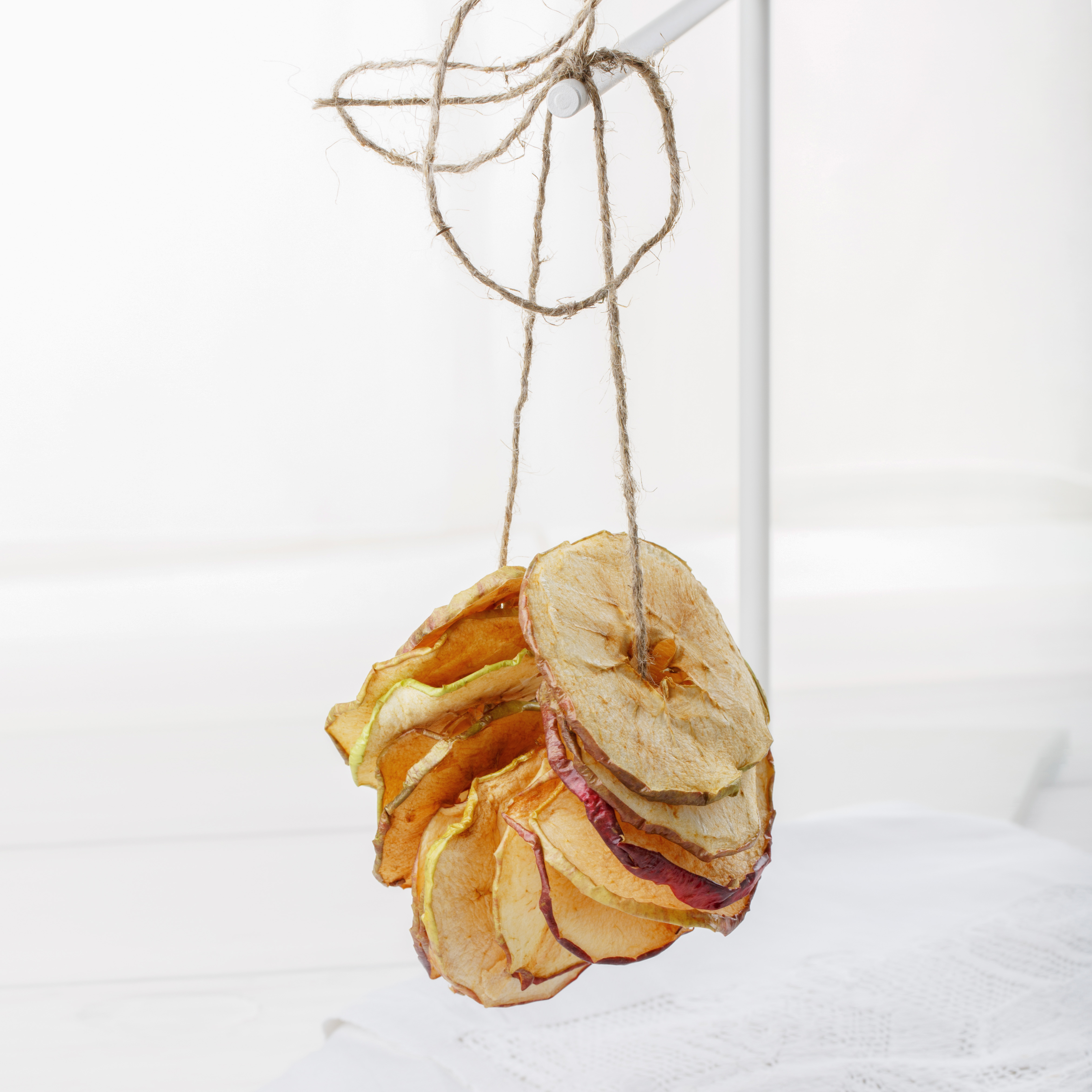 Manzana deshidratada