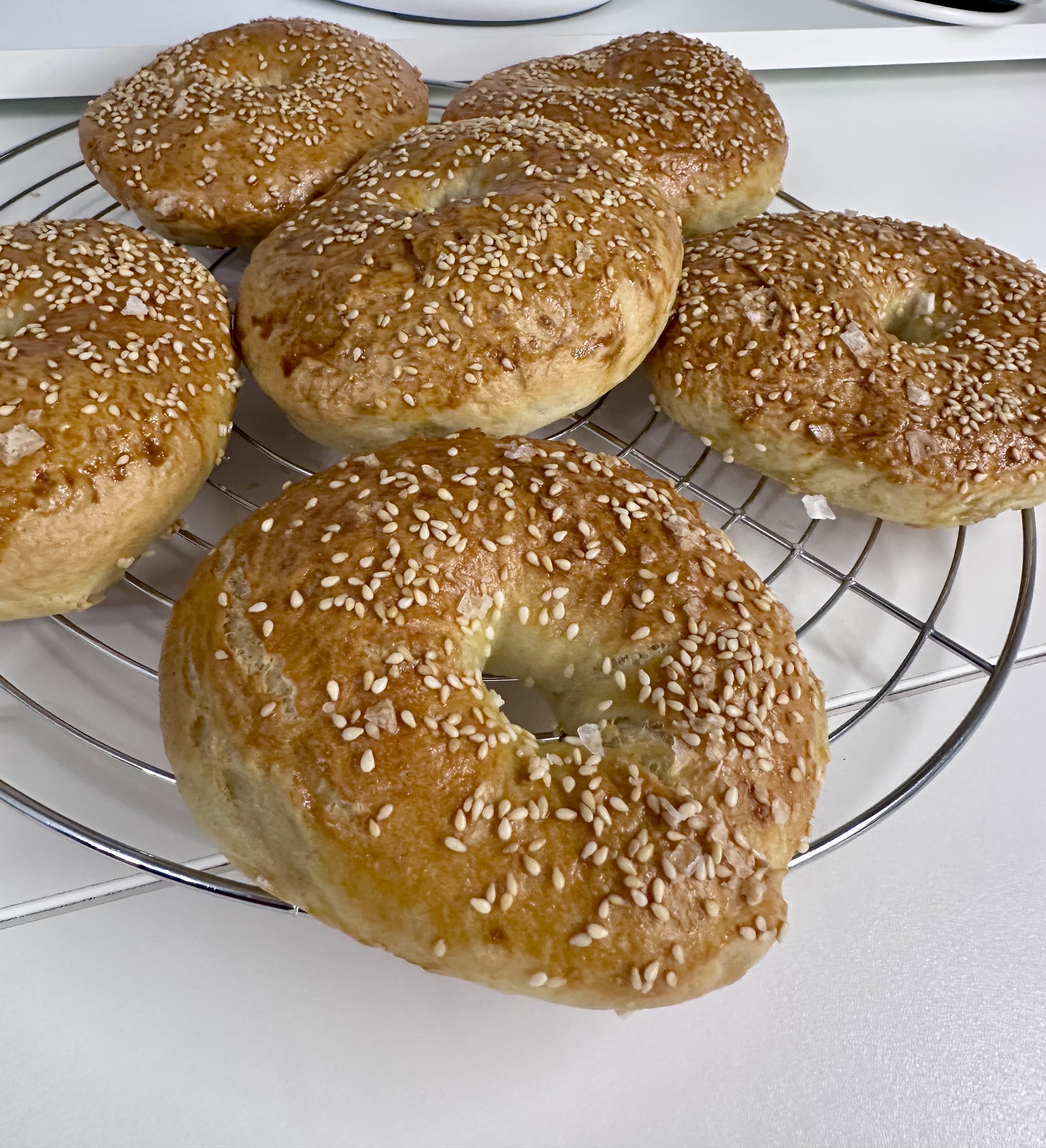 Bagel lievitazione in vaporiera