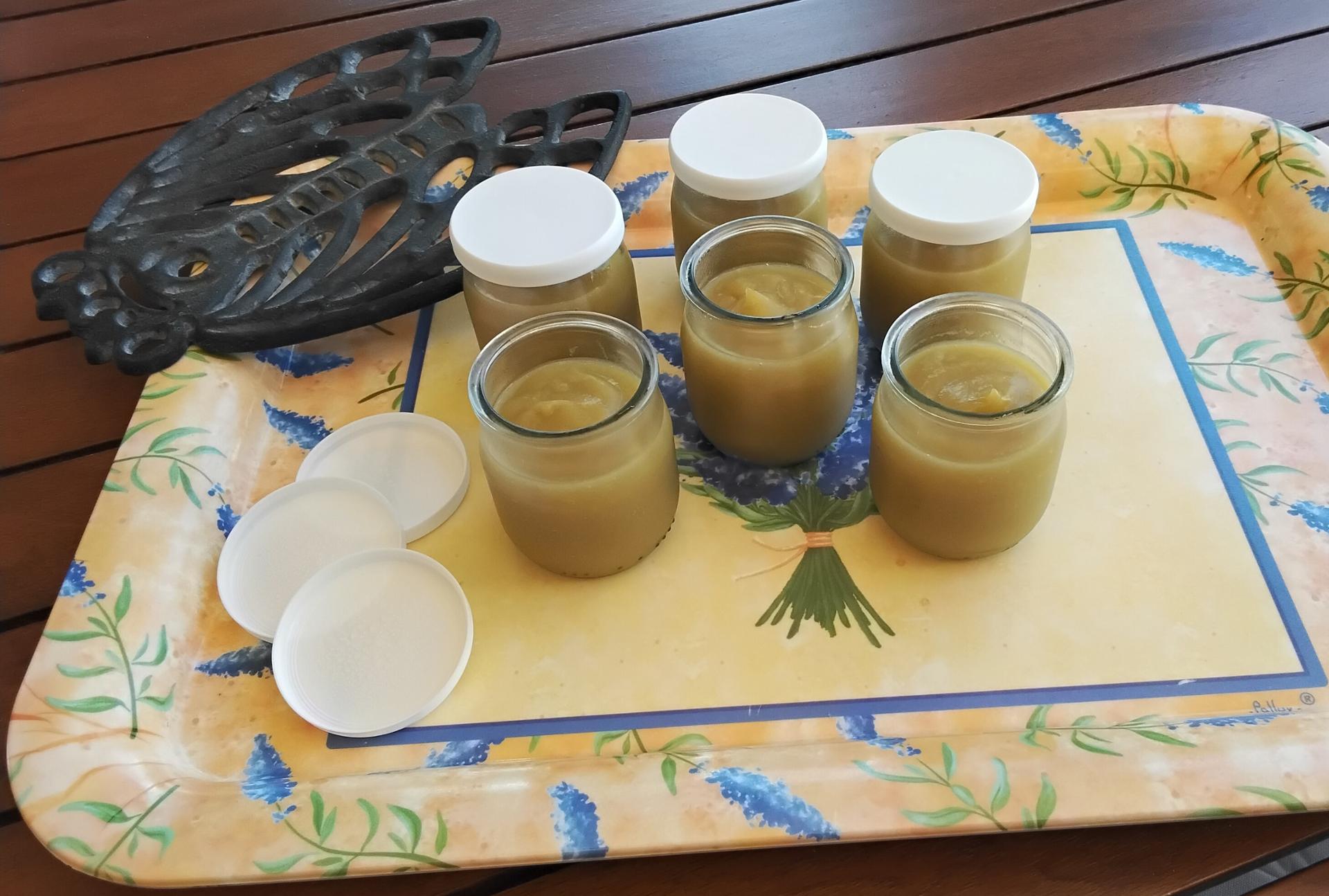 Compote lisse de rhubarbe et pommes - Recette Companion Connect XL ...