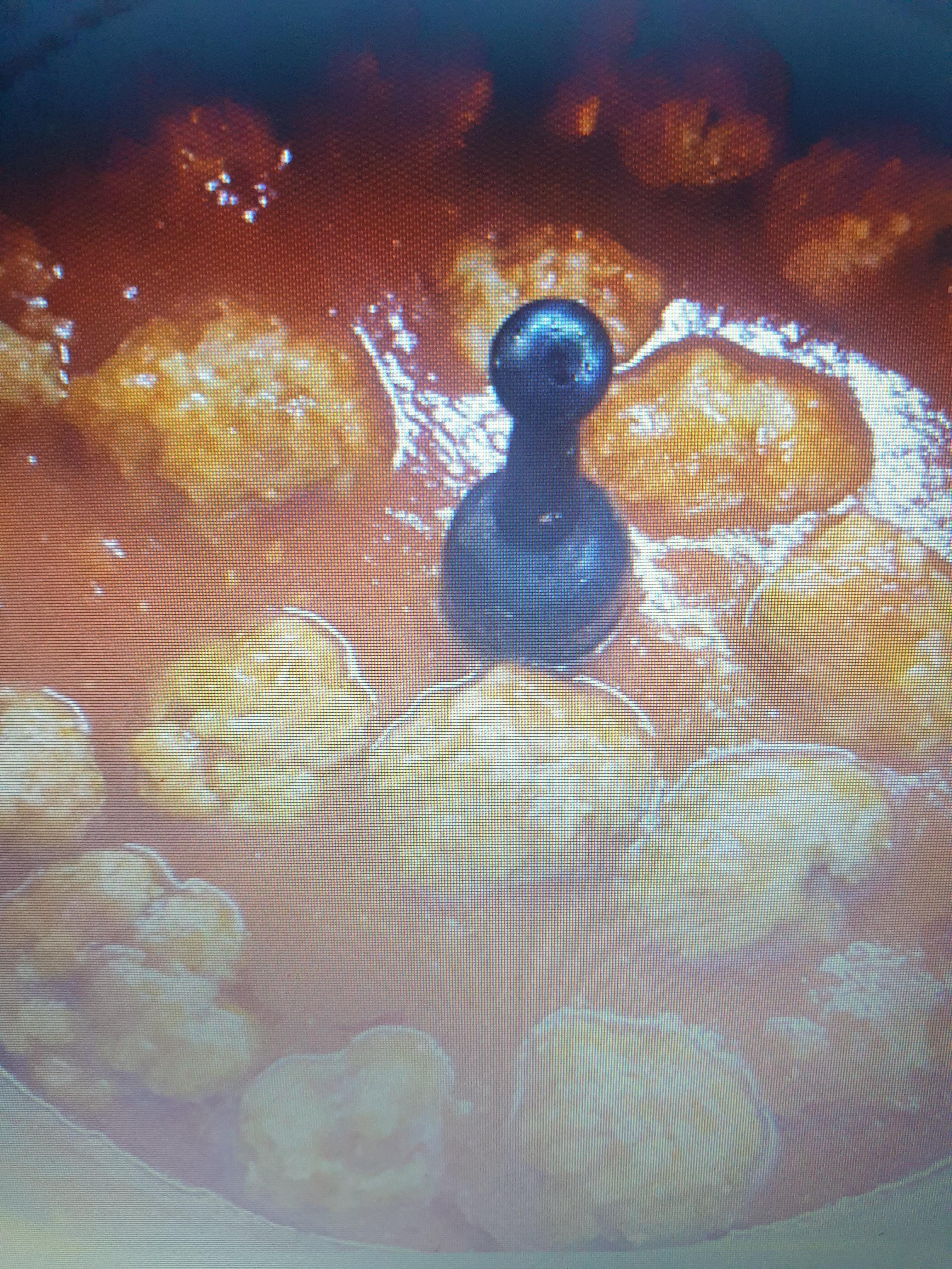 Polpette al sugo