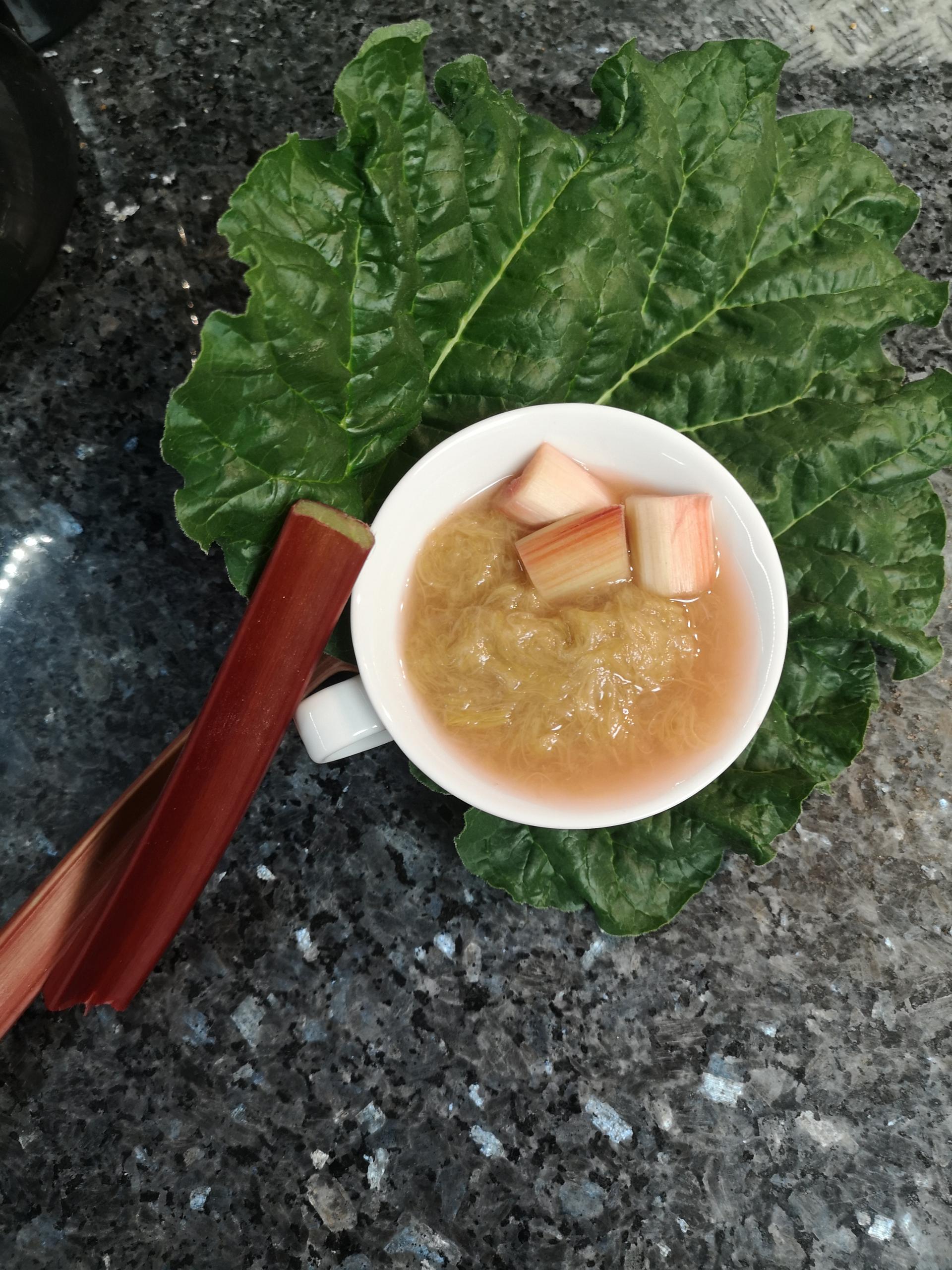 Compote lisse de rhubarbe et pommes - Recette Companion Connect XL ...