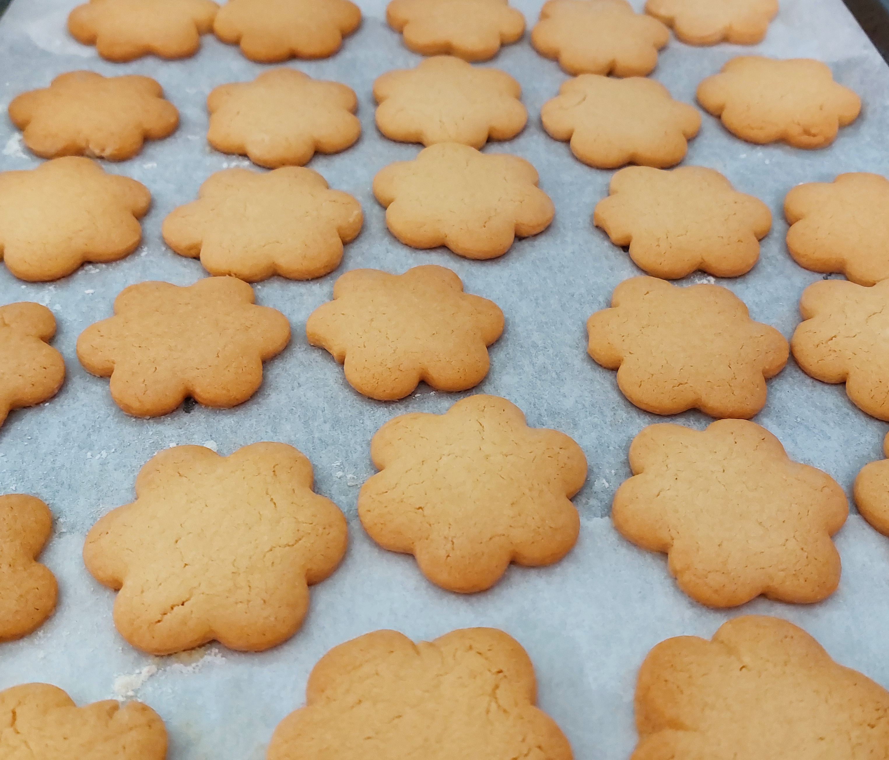 Biscotti Semplici