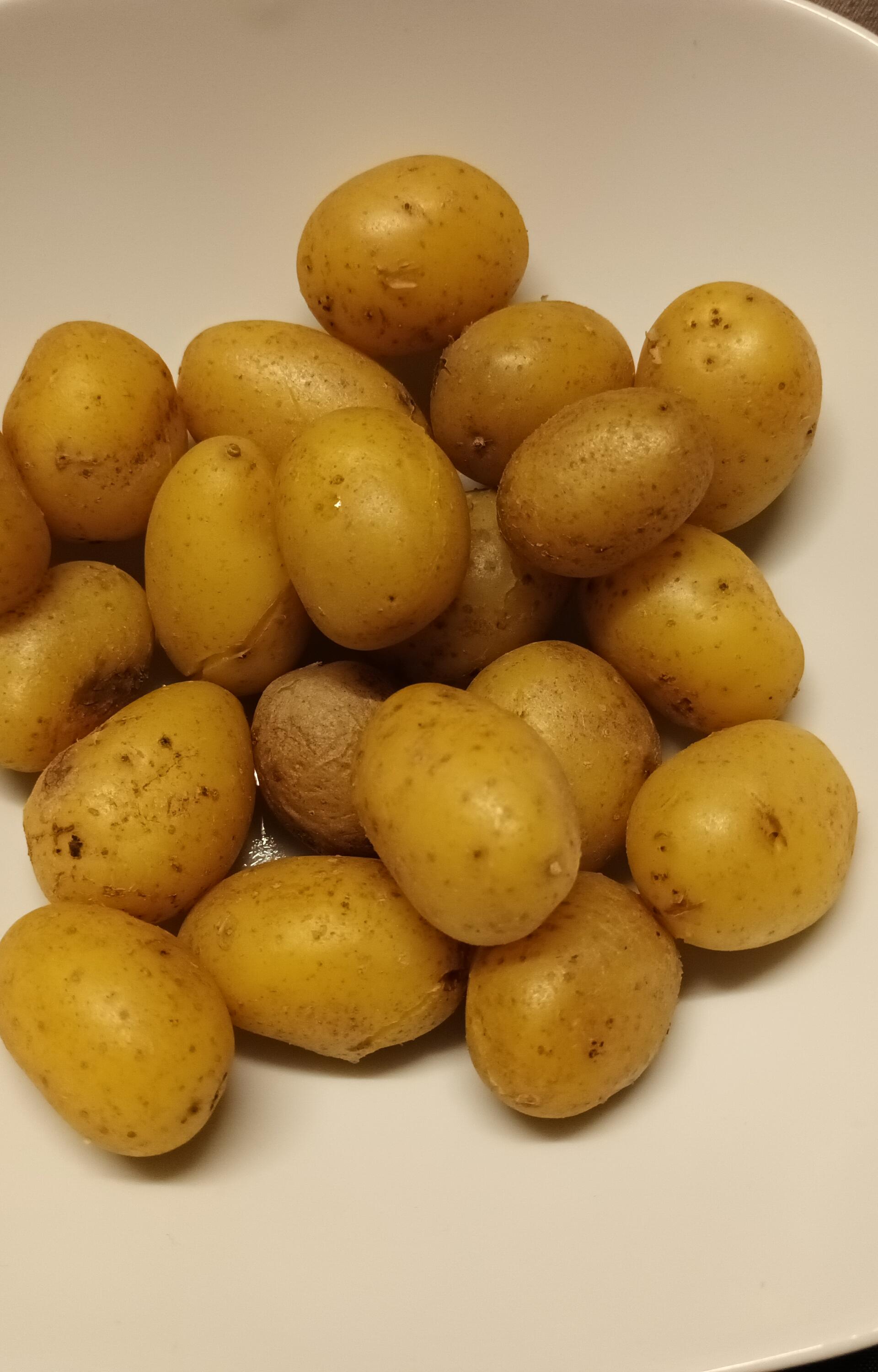 Pomme De Terre Vapeur Companion Xl