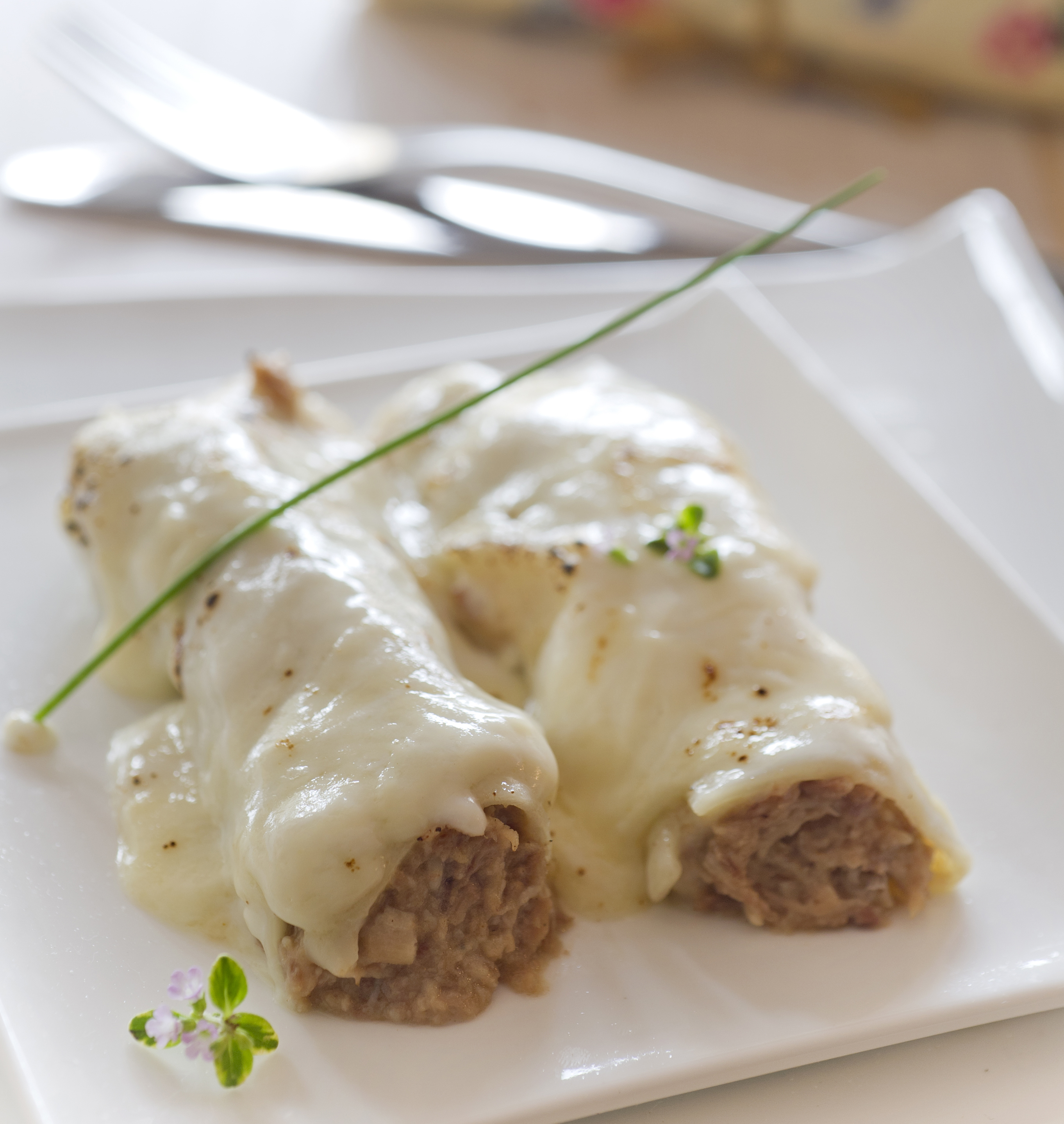 Canelones con bechamel gratinados
