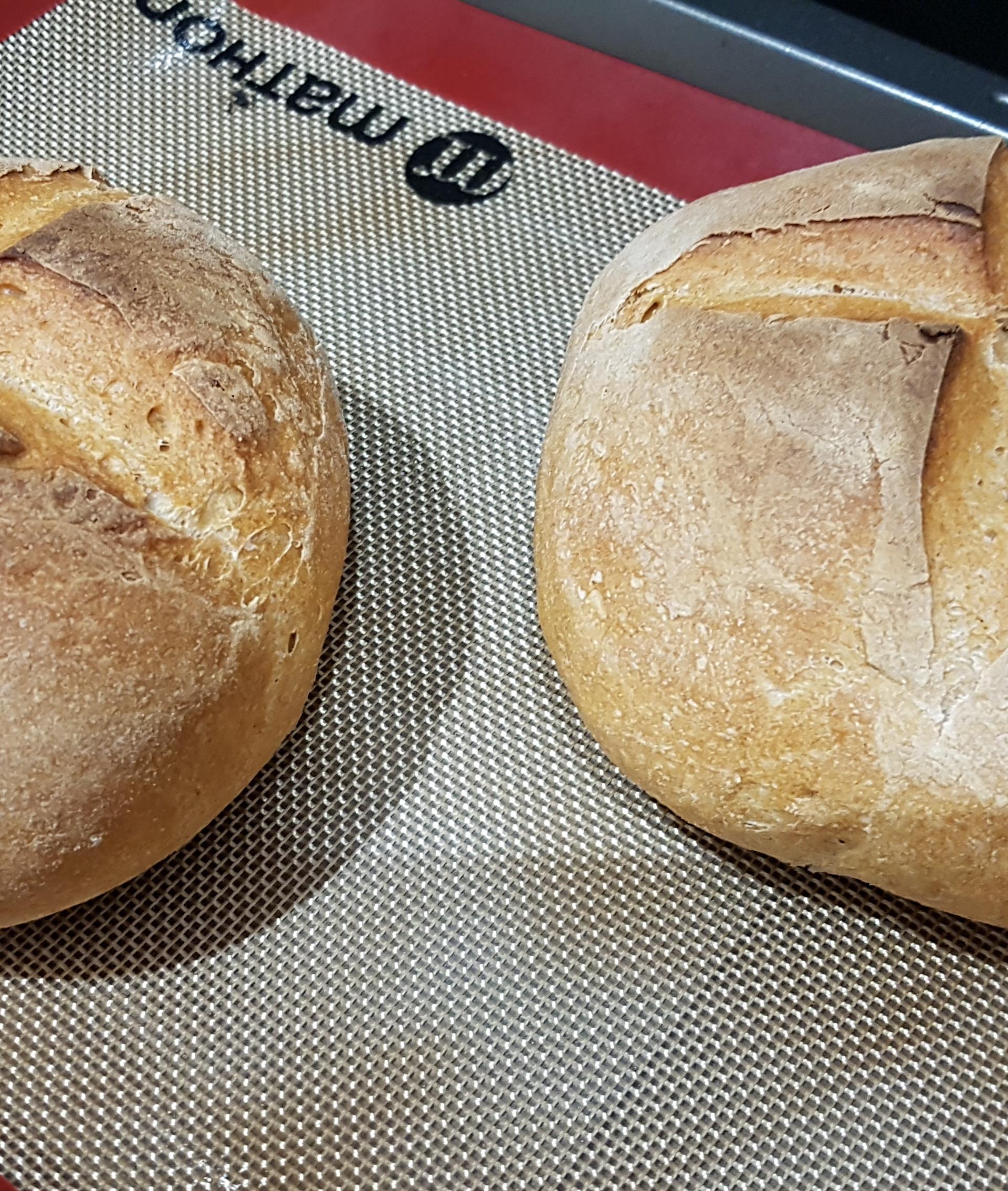 Pain complet - Recette Companion Connect XL | Moulinex