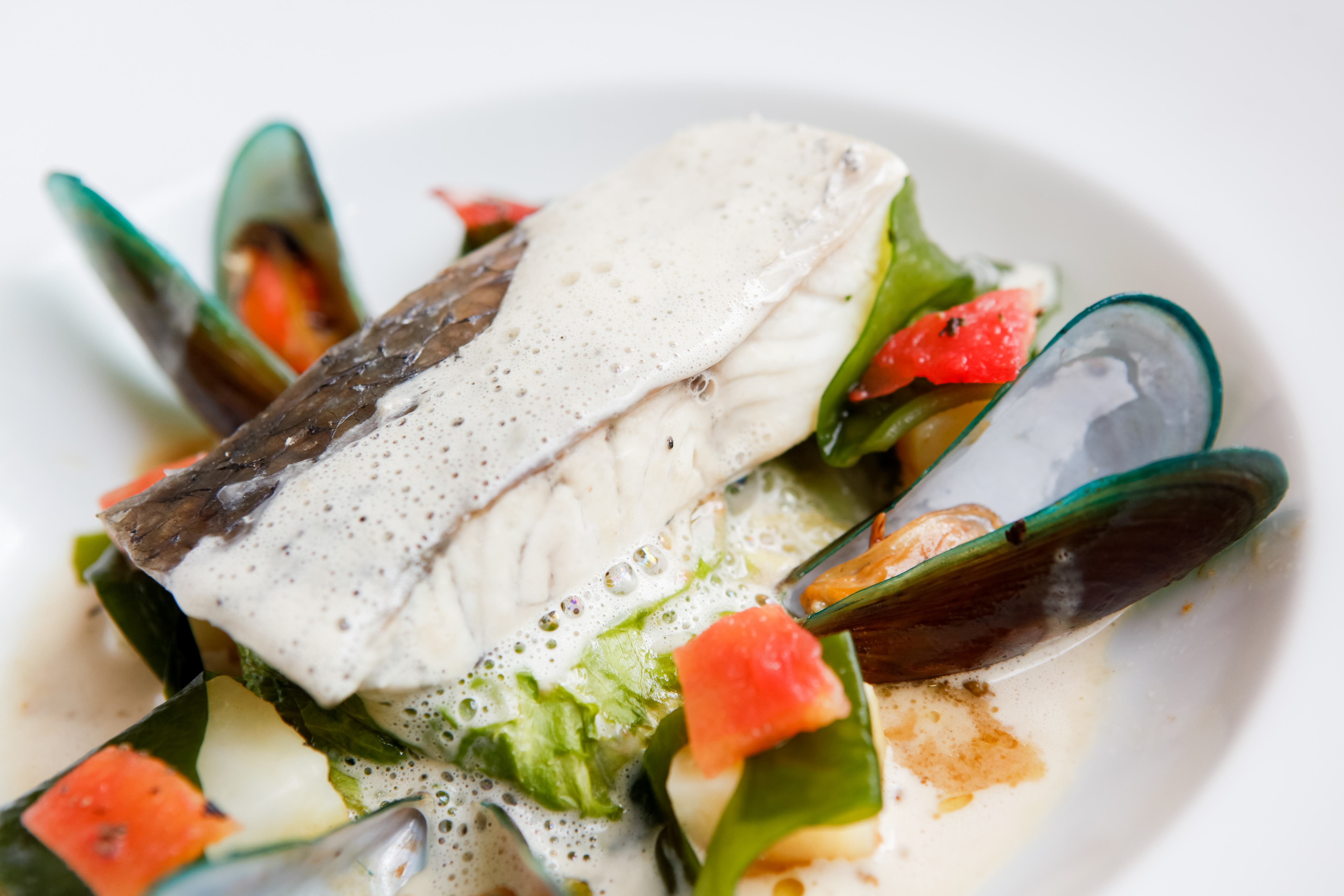 Róbalo a la Parmesana