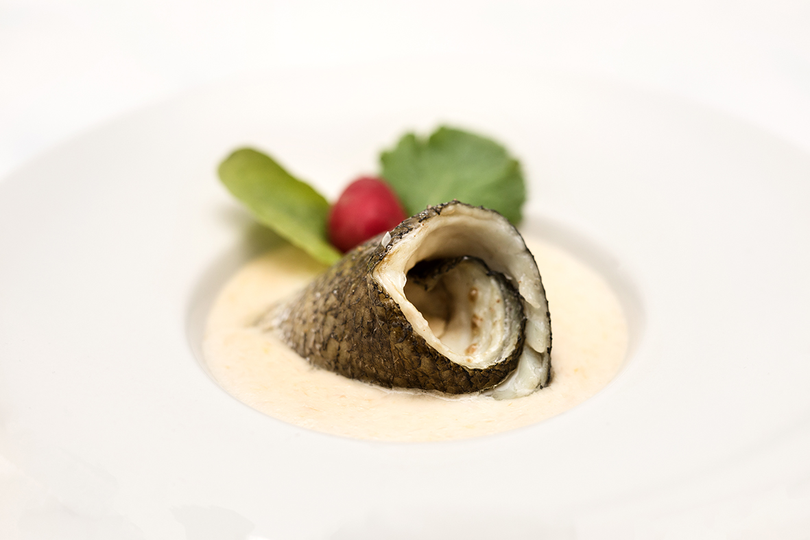 Corvina en salsa de cava