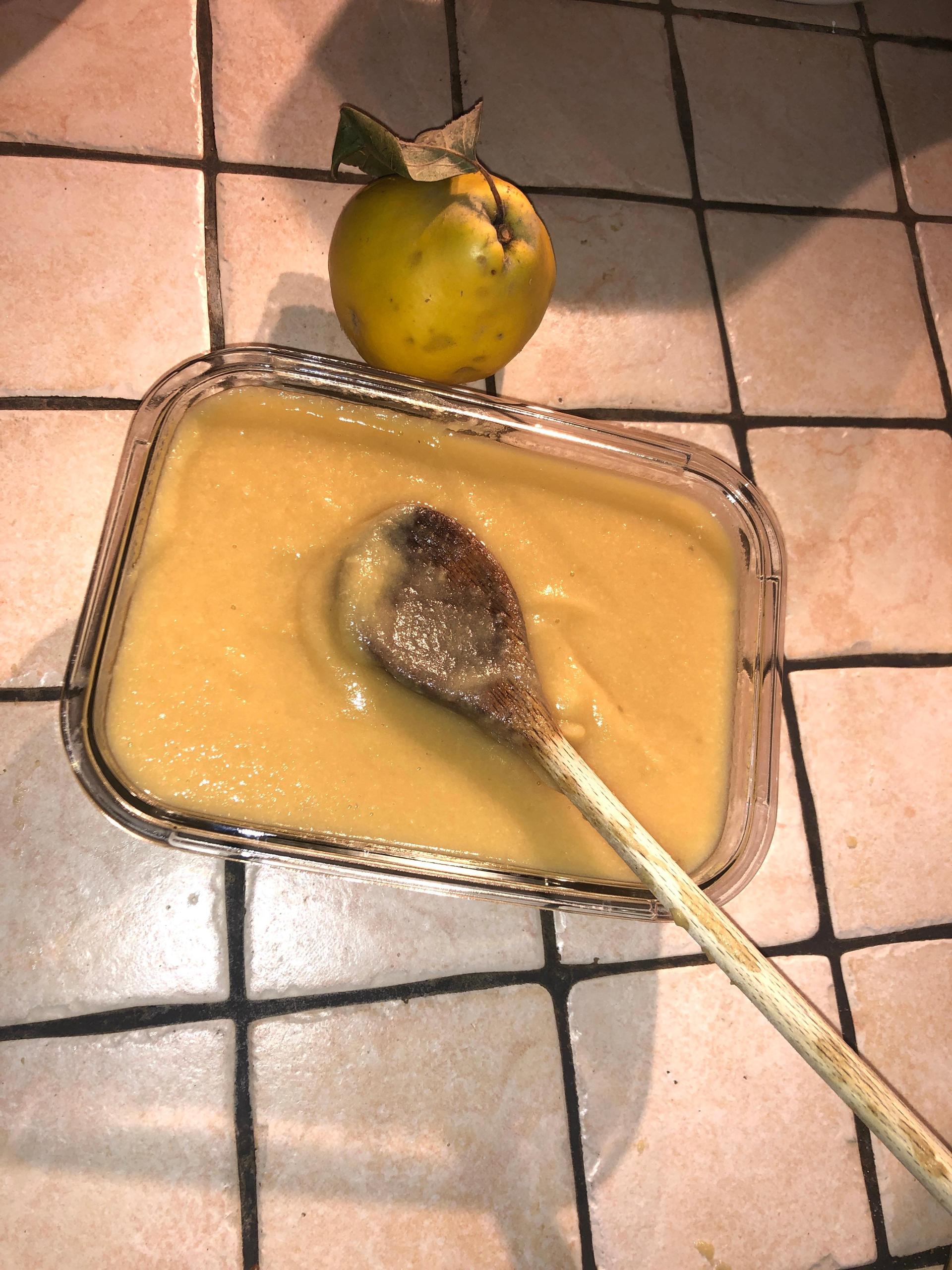 Compote pommes coings banane - Recette Companion Connect | Moulinex