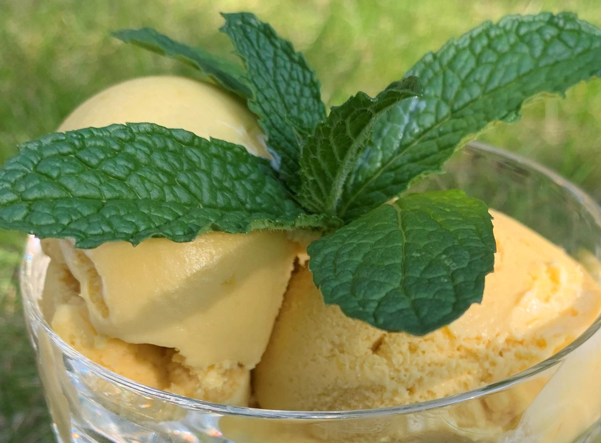 Mango Creme - Rezepte Prep &amp; Cook XL | Krups