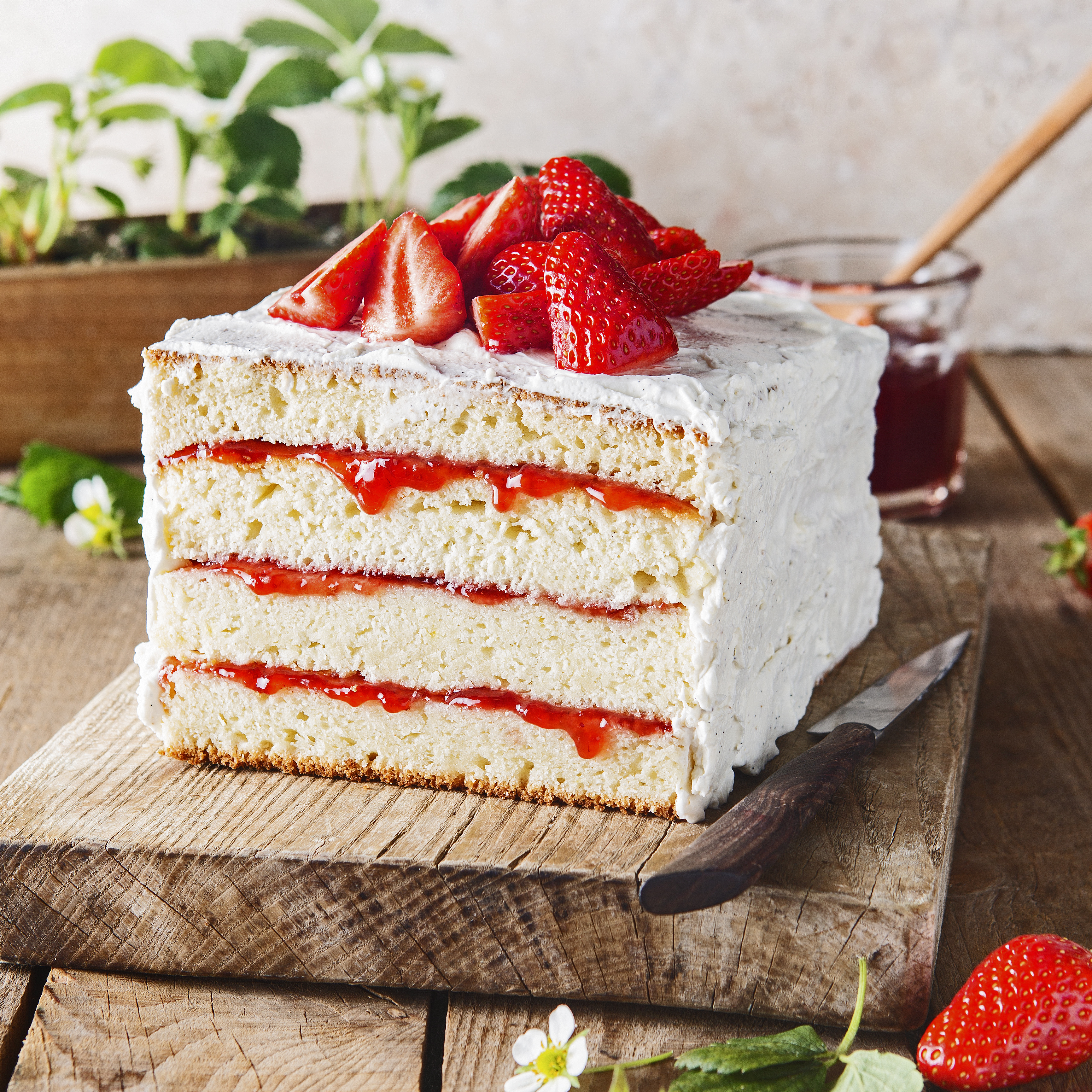 Erdbeeren Schichtkuchen