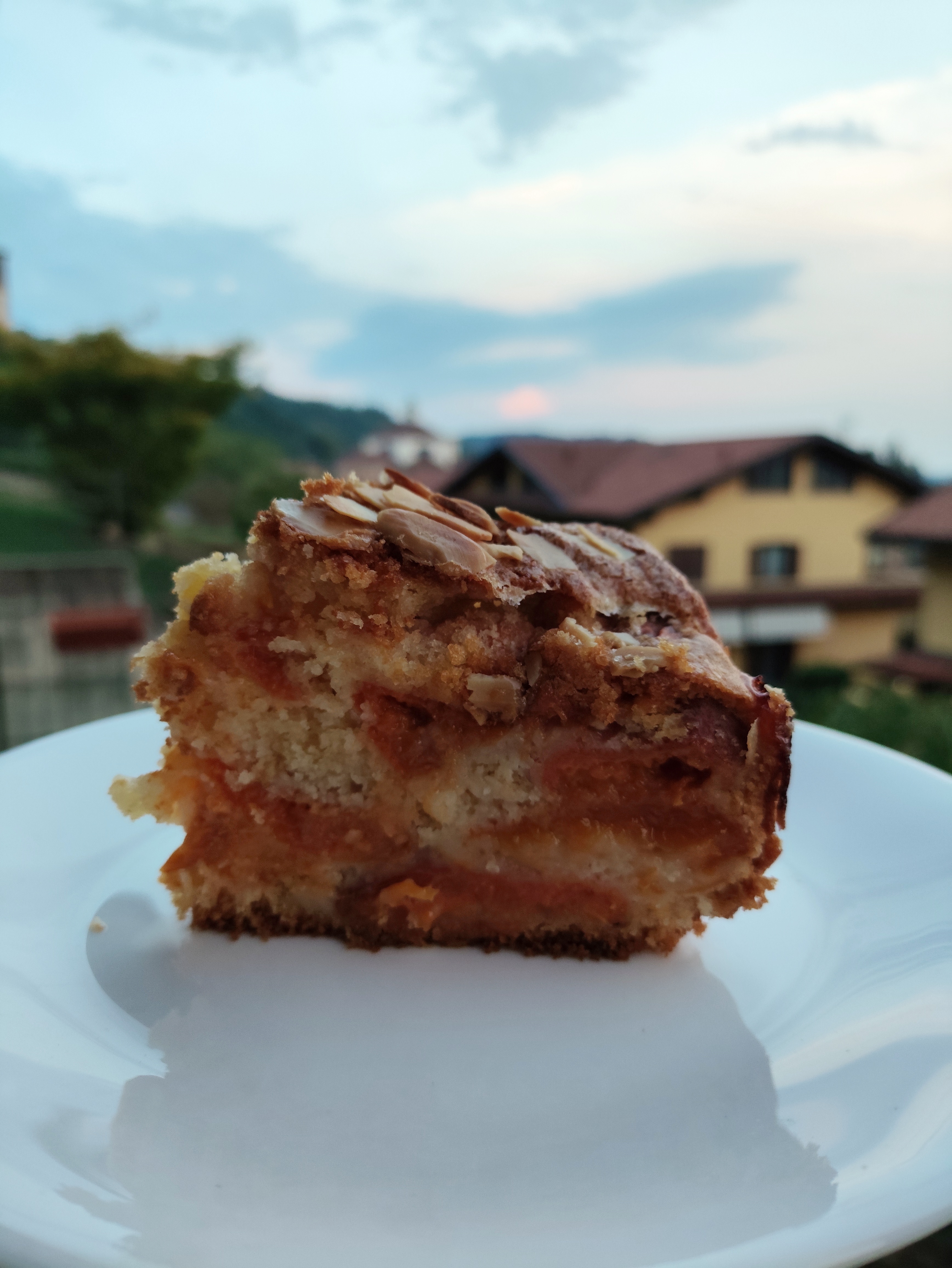 Torta morbidissima alle albicocche