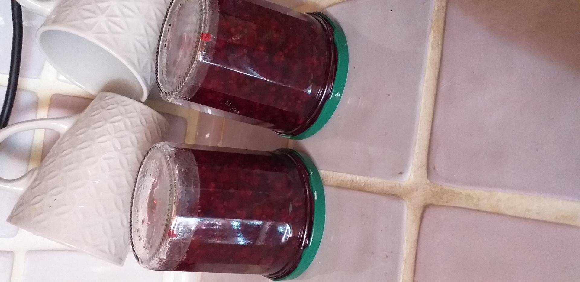 Confiture De Groseille Sans Pépins Recette Confiture De Framboises Sans Pépins 16 Confiture de groseille