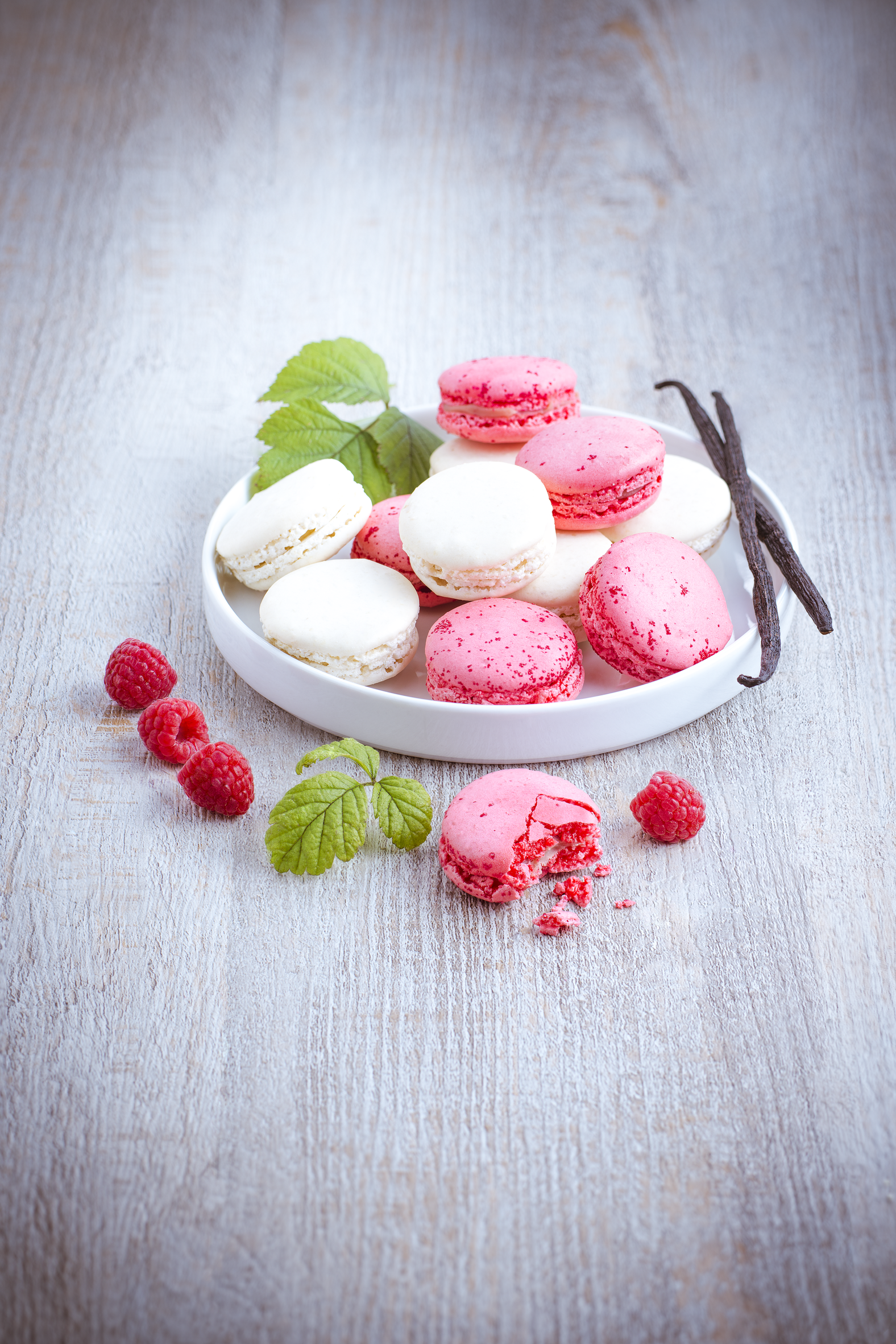 Vanille Macarons