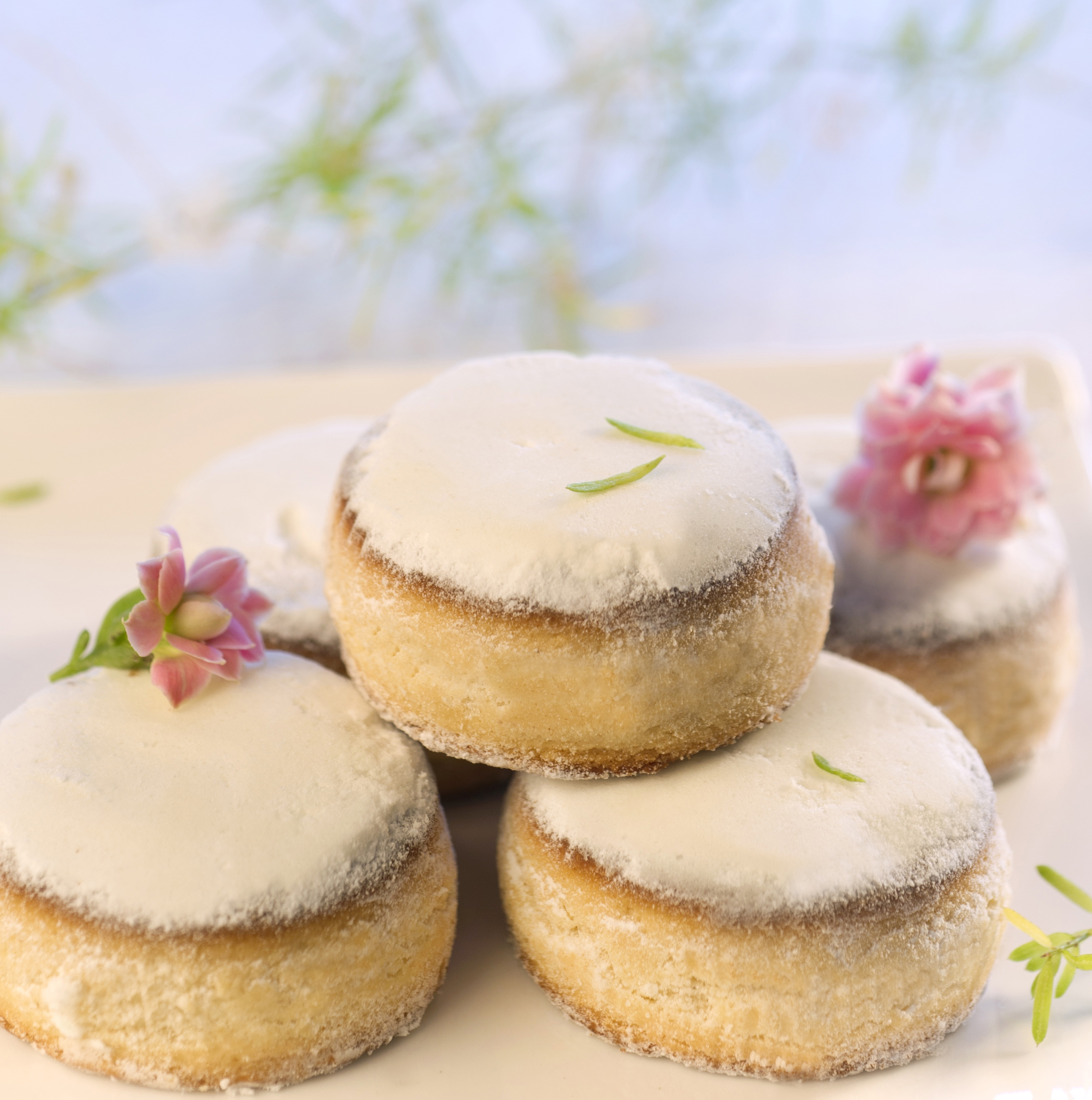 Nevaditos
