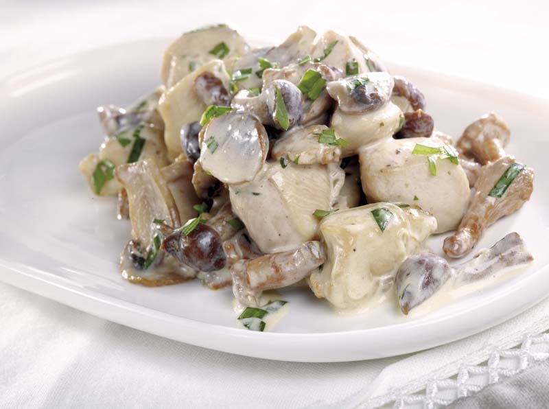Hähnchenfilets in Pilz-Estragon-Sauce