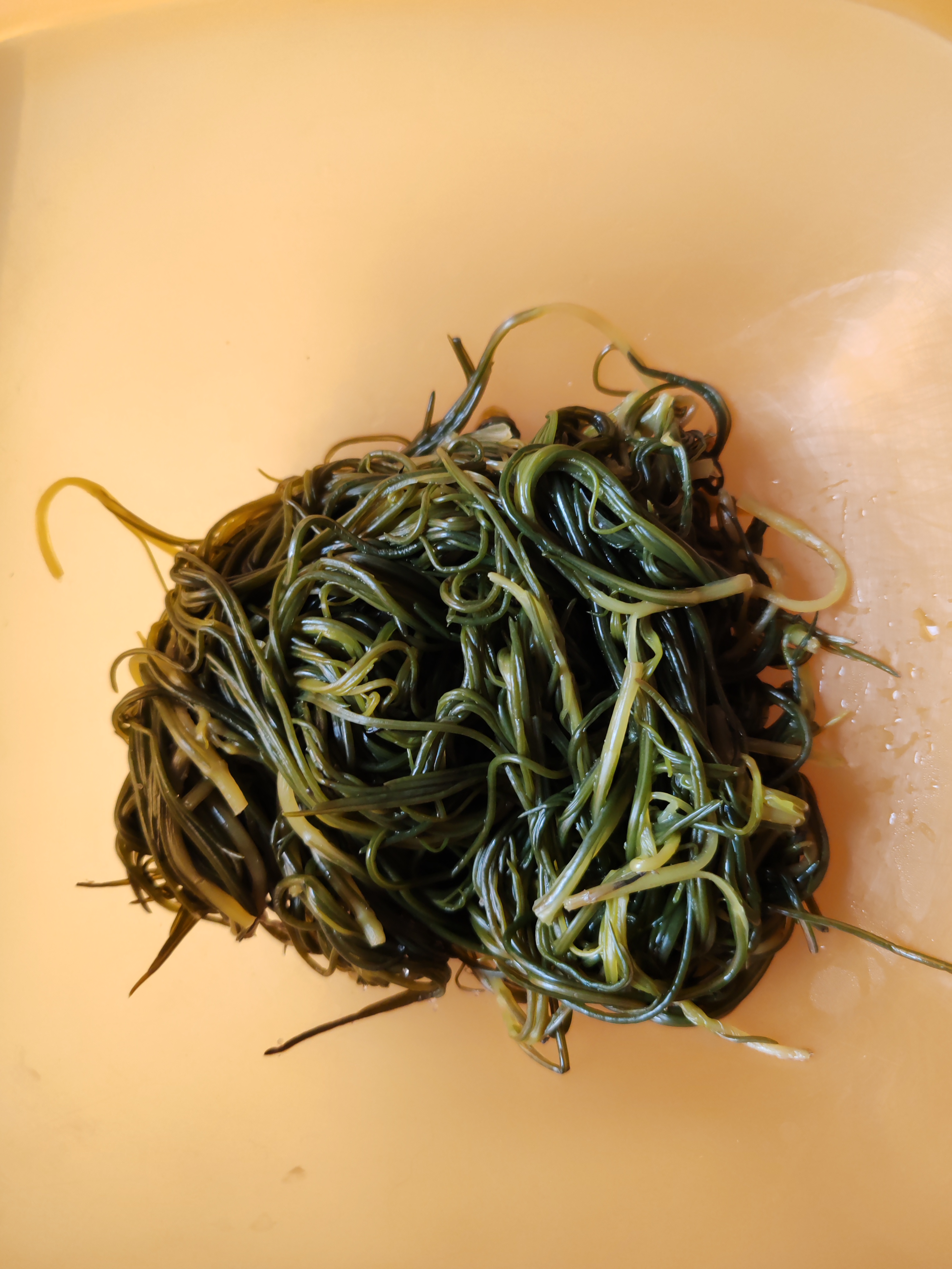 Agretti al vapore